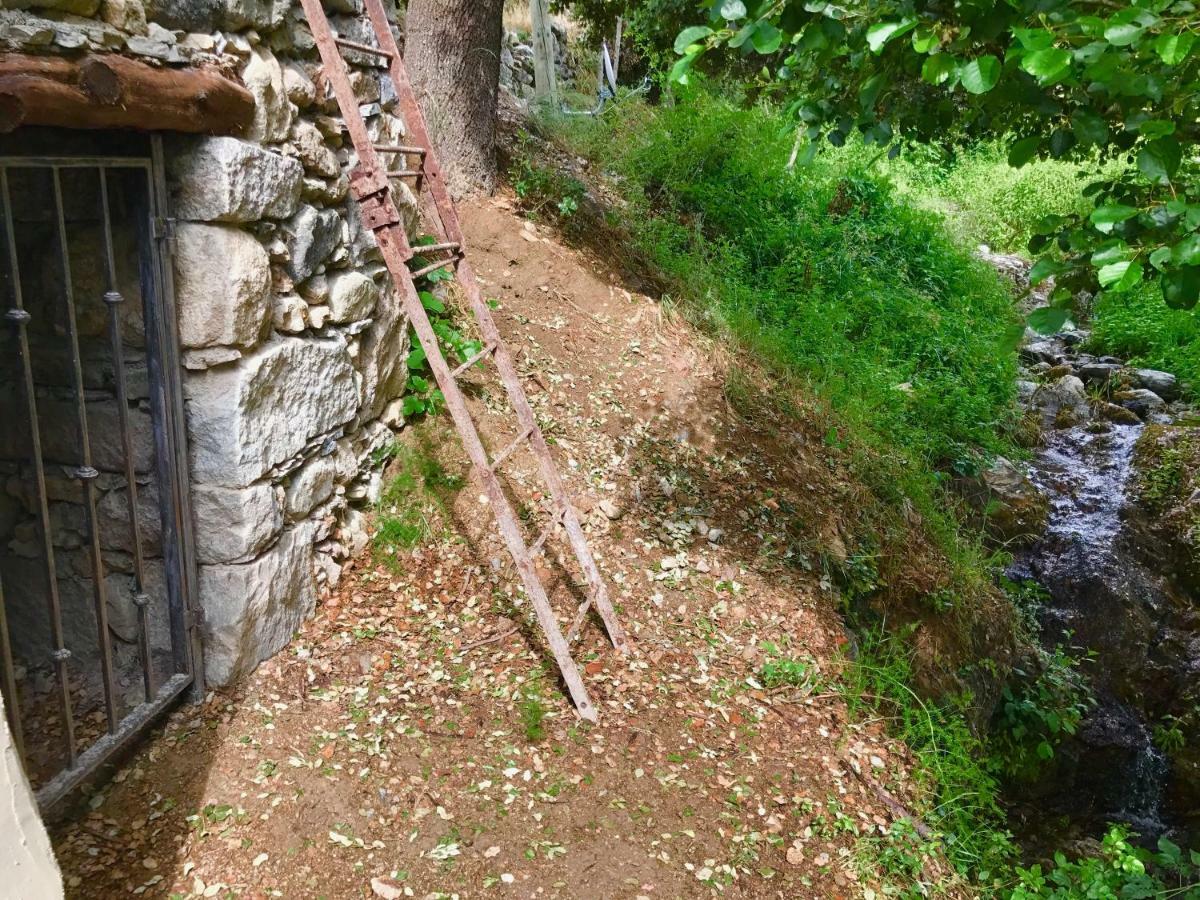 U Fragnu Guest House Omessa Exterior foto